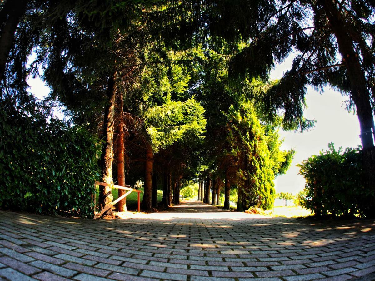 Casa Vacanza Pratolungo Villa Zogno Kültér fotó